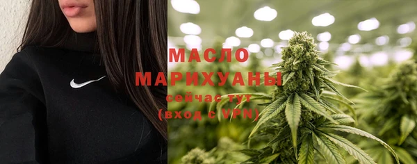 дживик Новозыбков