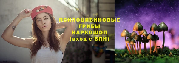 дживик Новозыбков