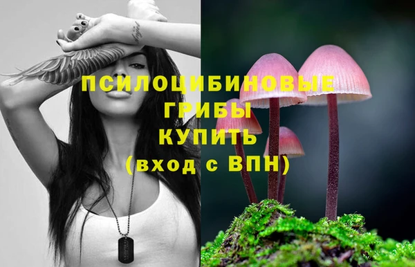 наркотики Новодвинск