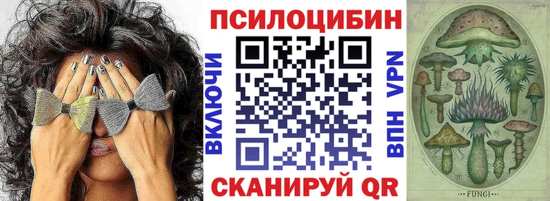 Галлюциногенные грибы Cubensis  Купить закладки  Омутнинск 
